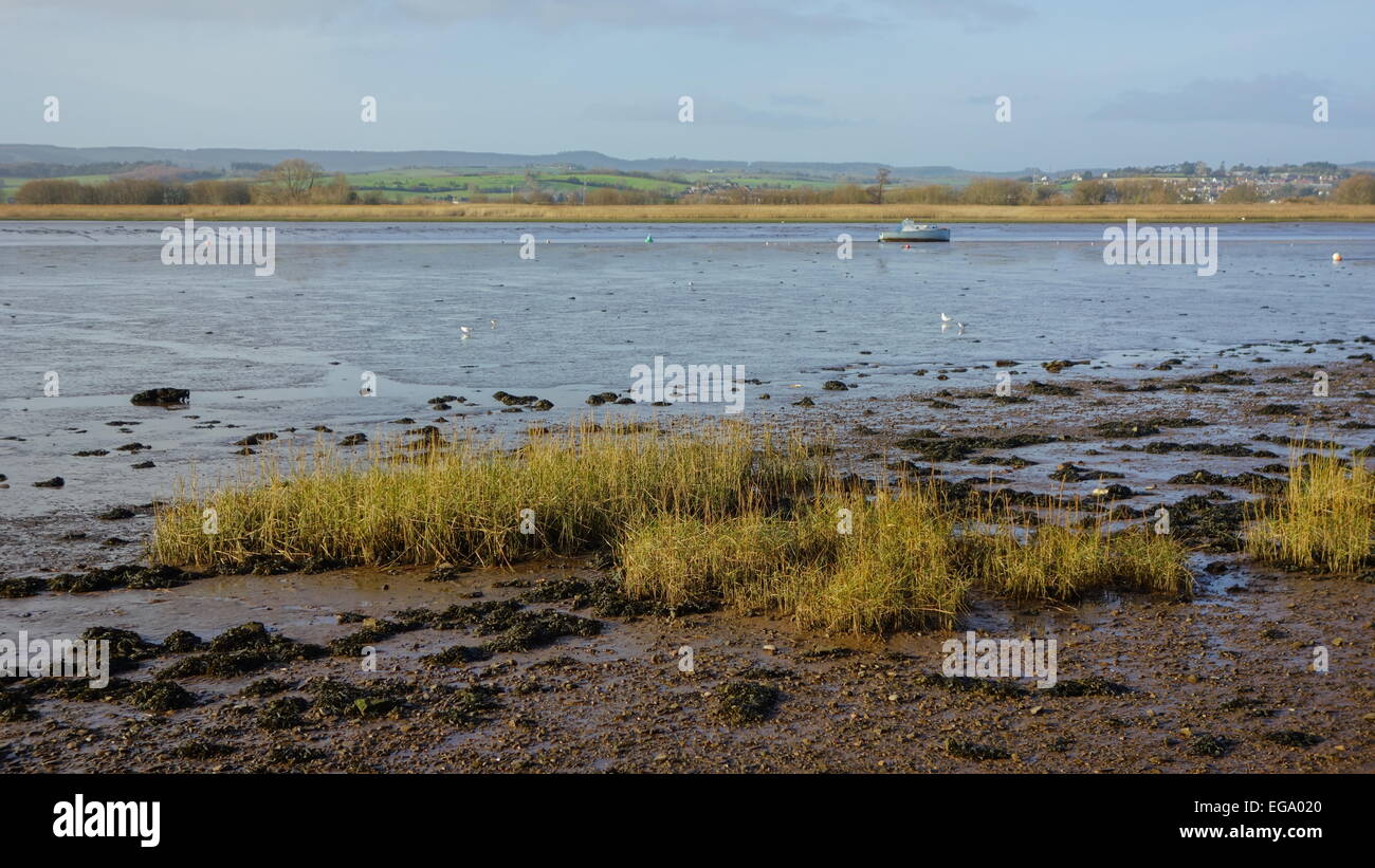 Low Tide at Topsham Stock Photo Alamy