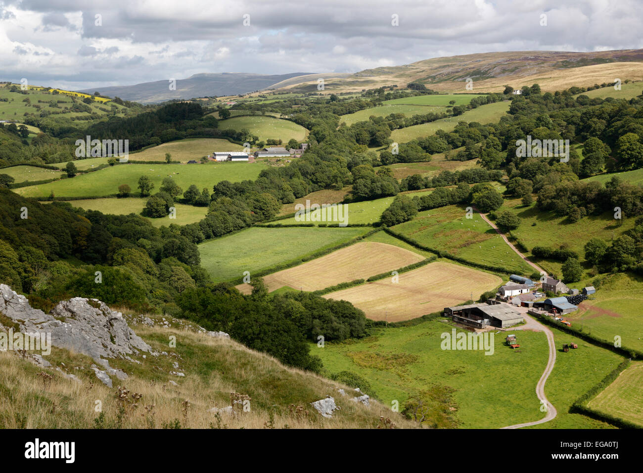 Welsh farm land hi-res stock photography and images - Alamy