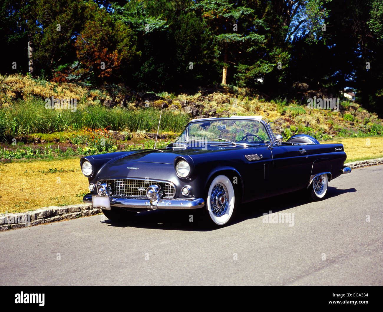 1956 Ford Thunderbird Stock Photo