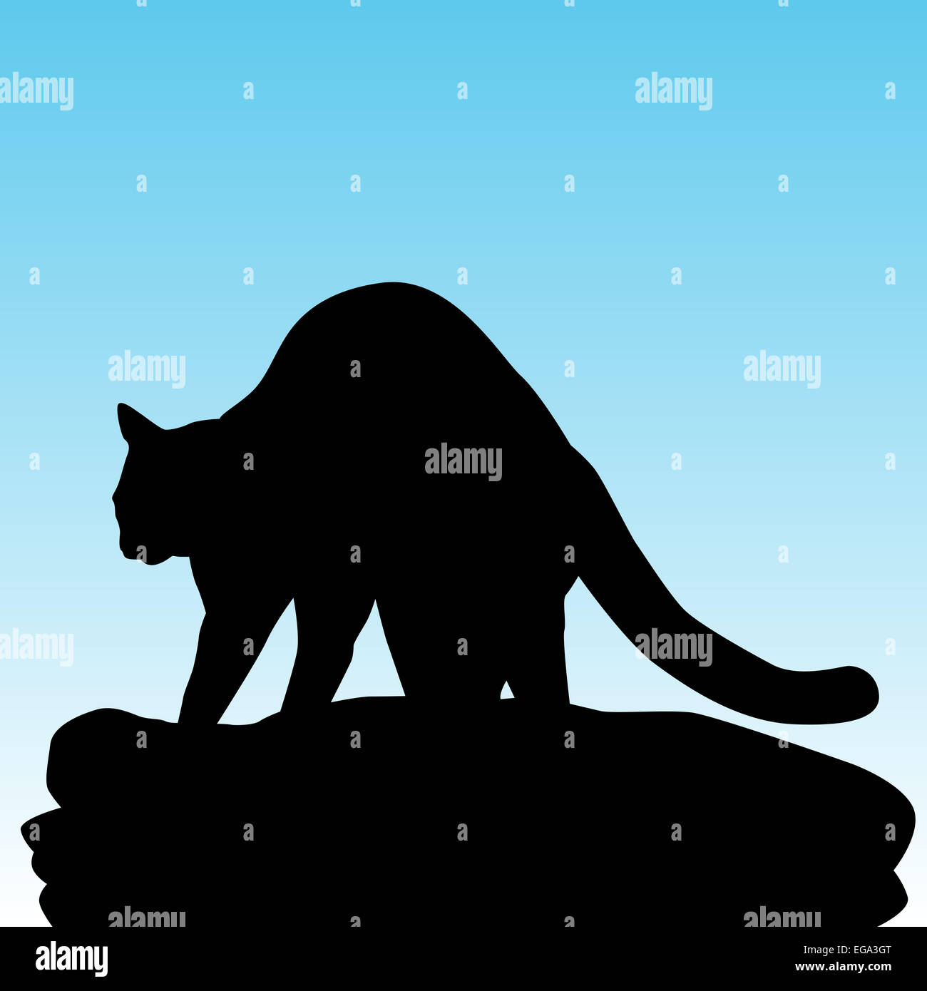 An image of a cat kneading on a blanket Stock Photo Alamy