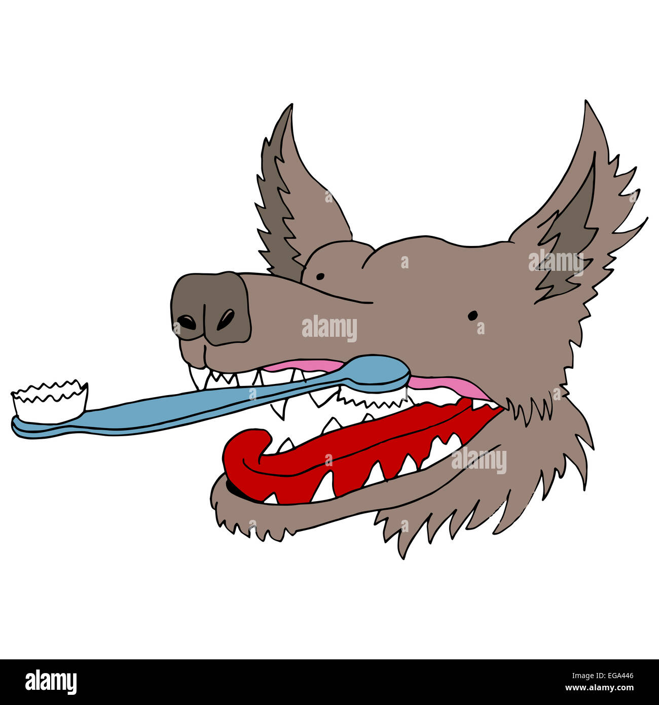 An image of a dog getting his teeth brushed Stock Photo Alamy