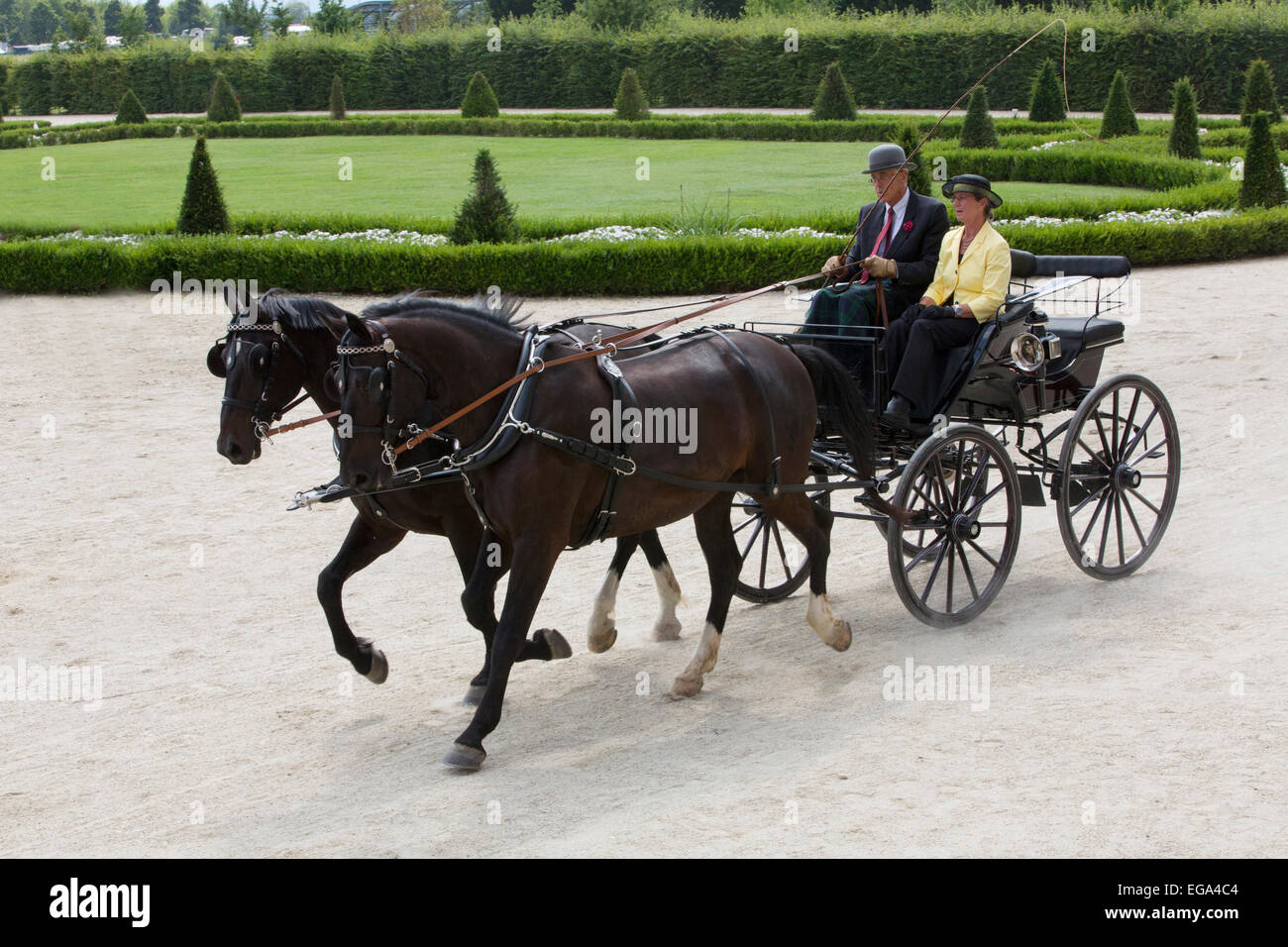 International competition for traditional carriages 'La Venaria Reale', carriage: Phaeton , Horses: pair of Moritburger,Italy Stock Photo