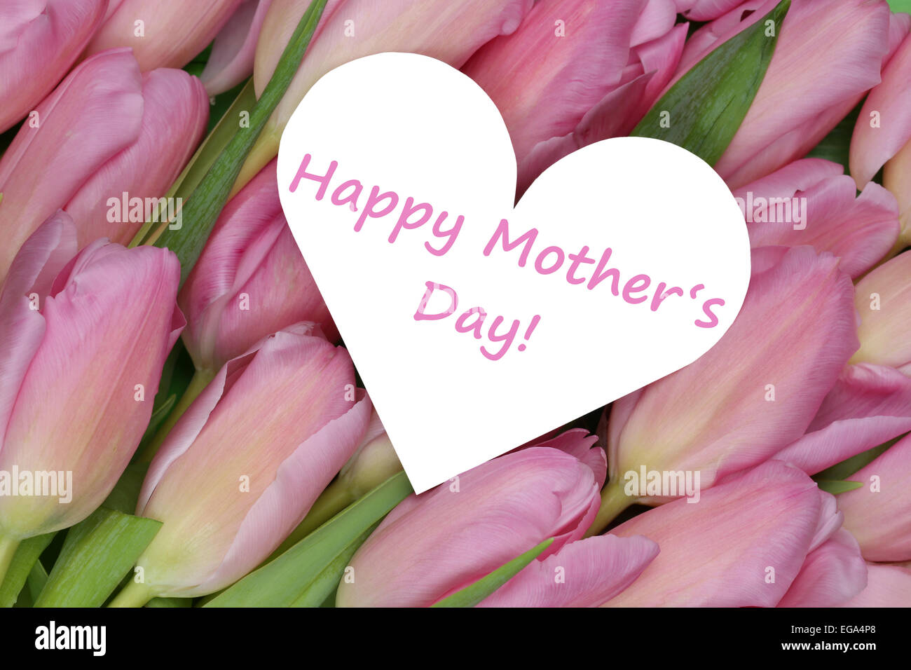 Tulips flowers on mother's day with heart love topic Stock Photo Alamy