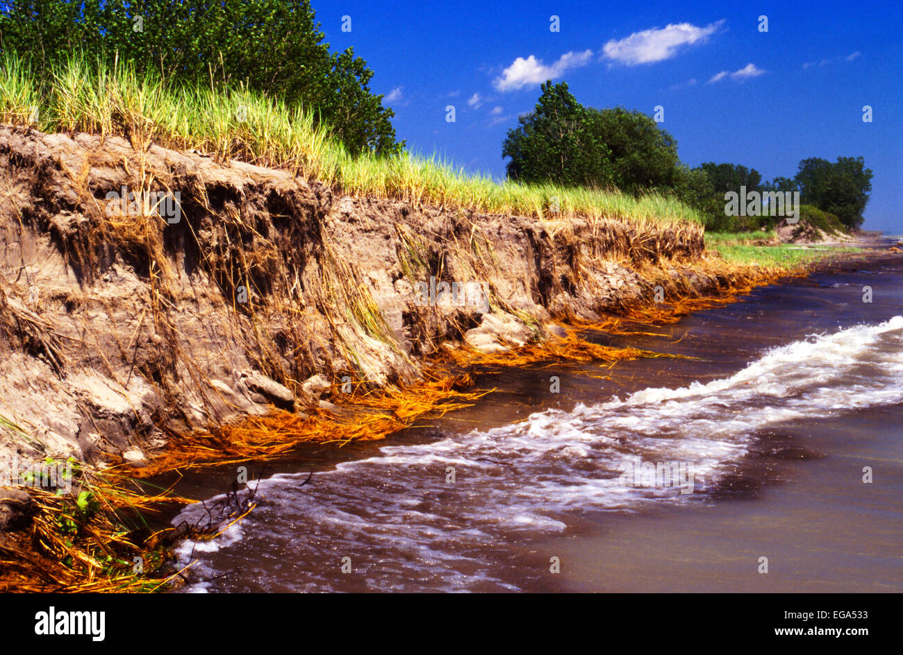 Shoreline erosion north shore Lake Erie Ontario Canada. Long Point Provincial Park. Stock Photo