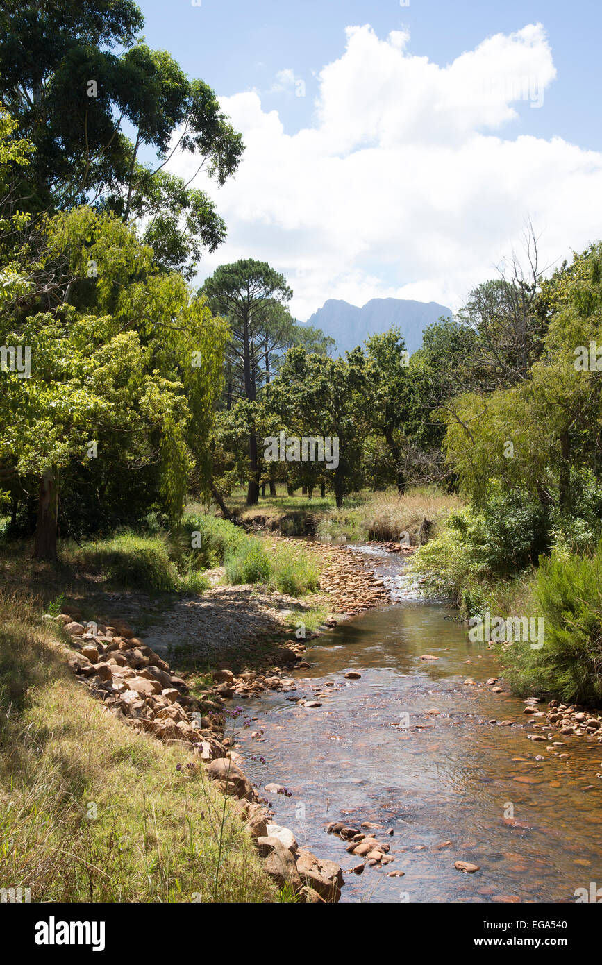 Lourens River at Somerset West in the western Cape South Africa Stock