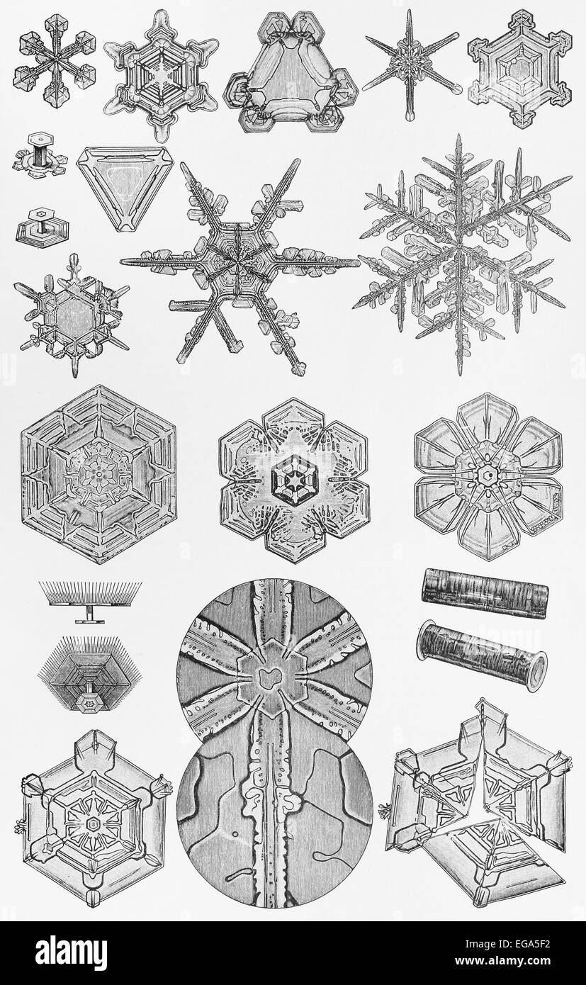 vintage drawing of various ice and snow crystals Stock Photo