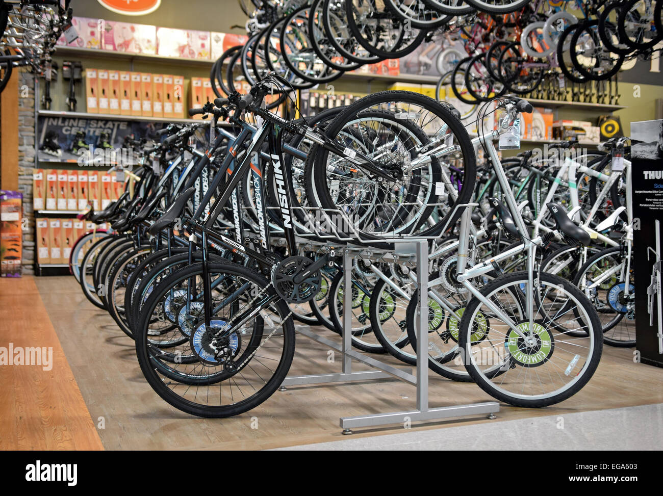 A display of men's bicycles for sale at Dick's Sporting Goods at the Roosevelt Field Mall in Garden City Long Island, New York Stock Photo