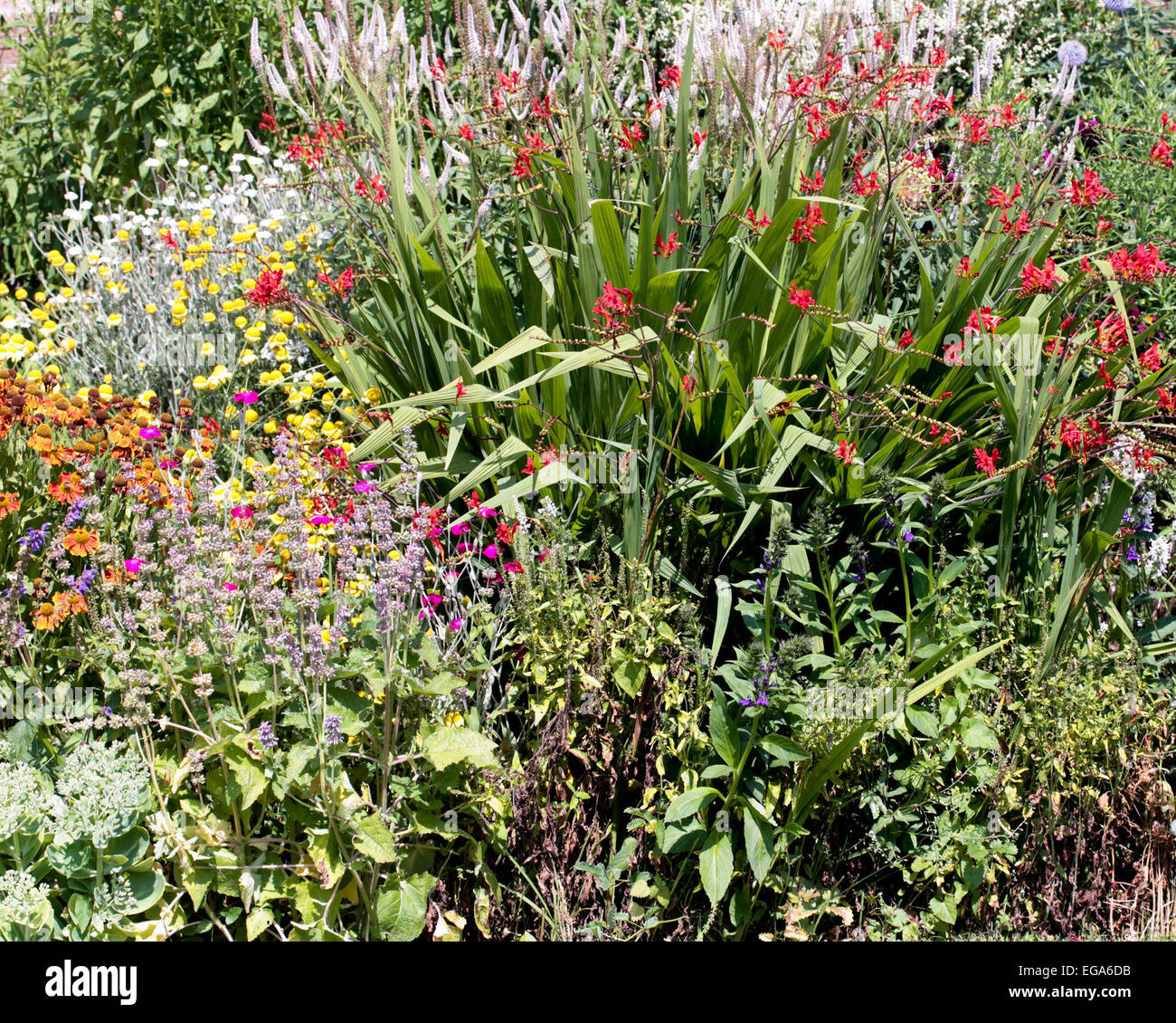 Arley Hall Border High Resolution Stock Photography and Images - Alamy