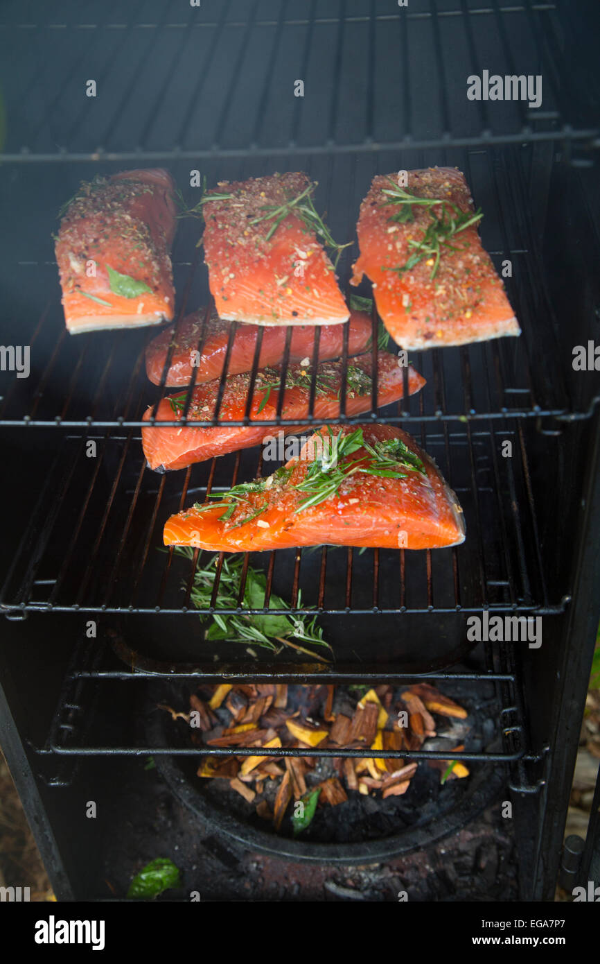 King Salmon in a smoker Stock Photo