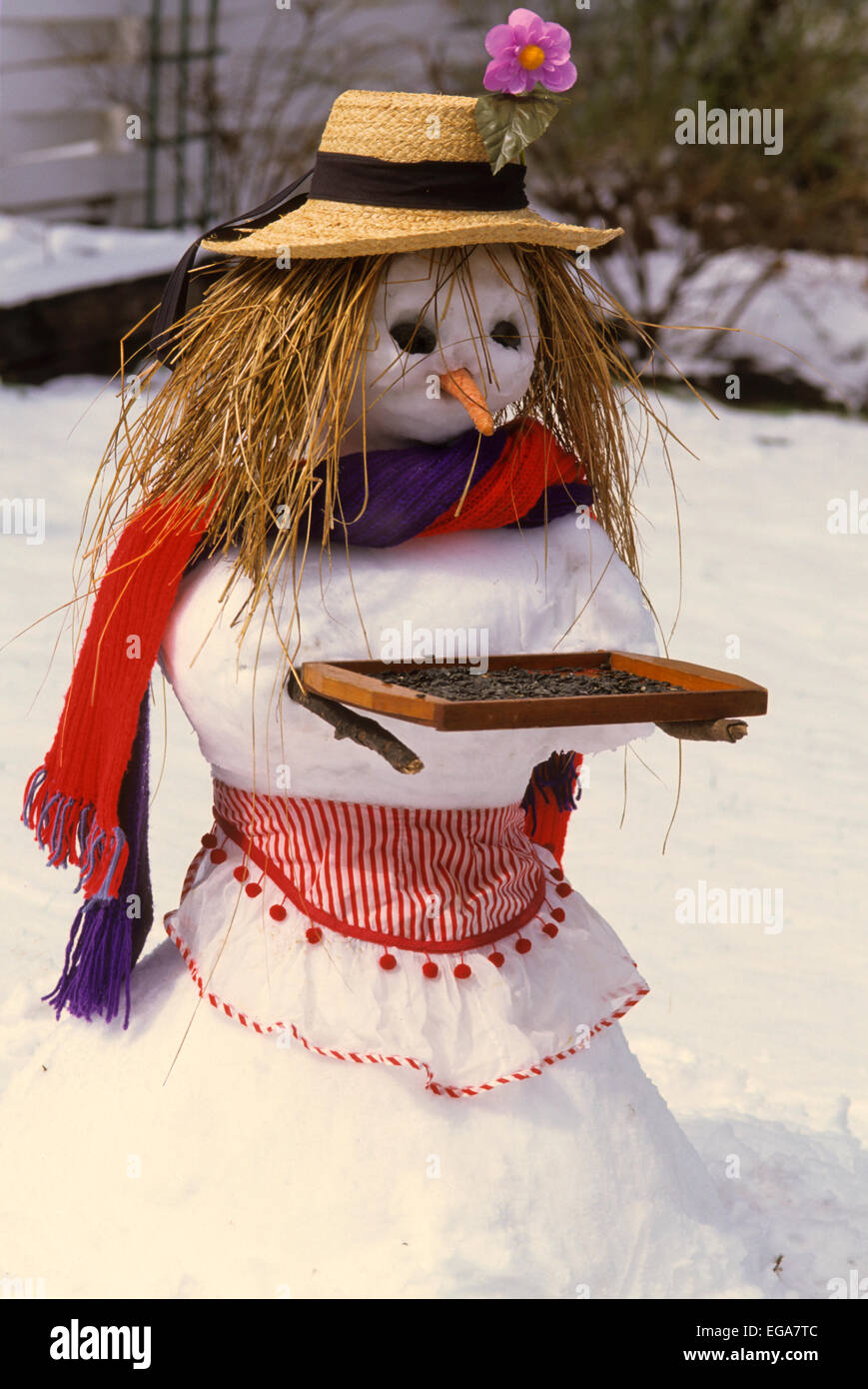 Snowlady Birdfeeder Stock Photo