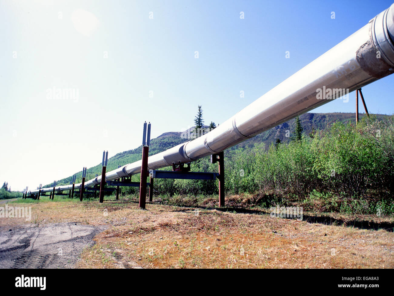 Alaska, pipeline Stock Photo