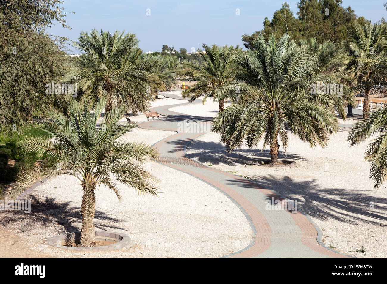 Date palm trees dubai hires stock photography and images Alamy