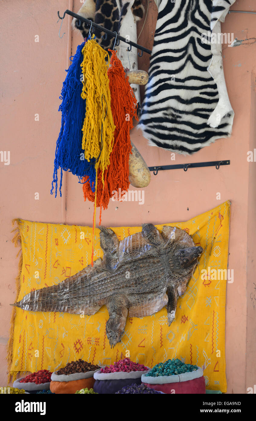 Animal skins visitors hi-res stock photography and images - Alamy