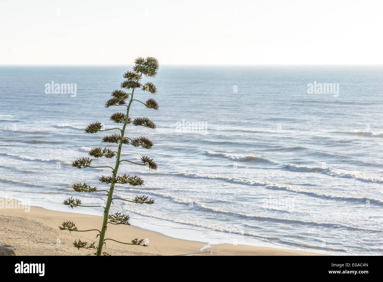 landscape of sea in a winter day Stock Photo