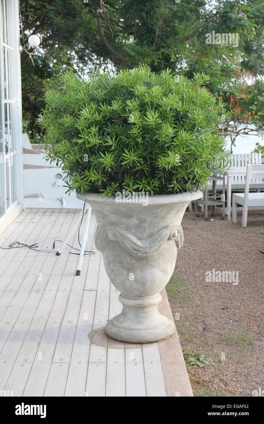 The White flowerpot in home decoration. Stock Photo
