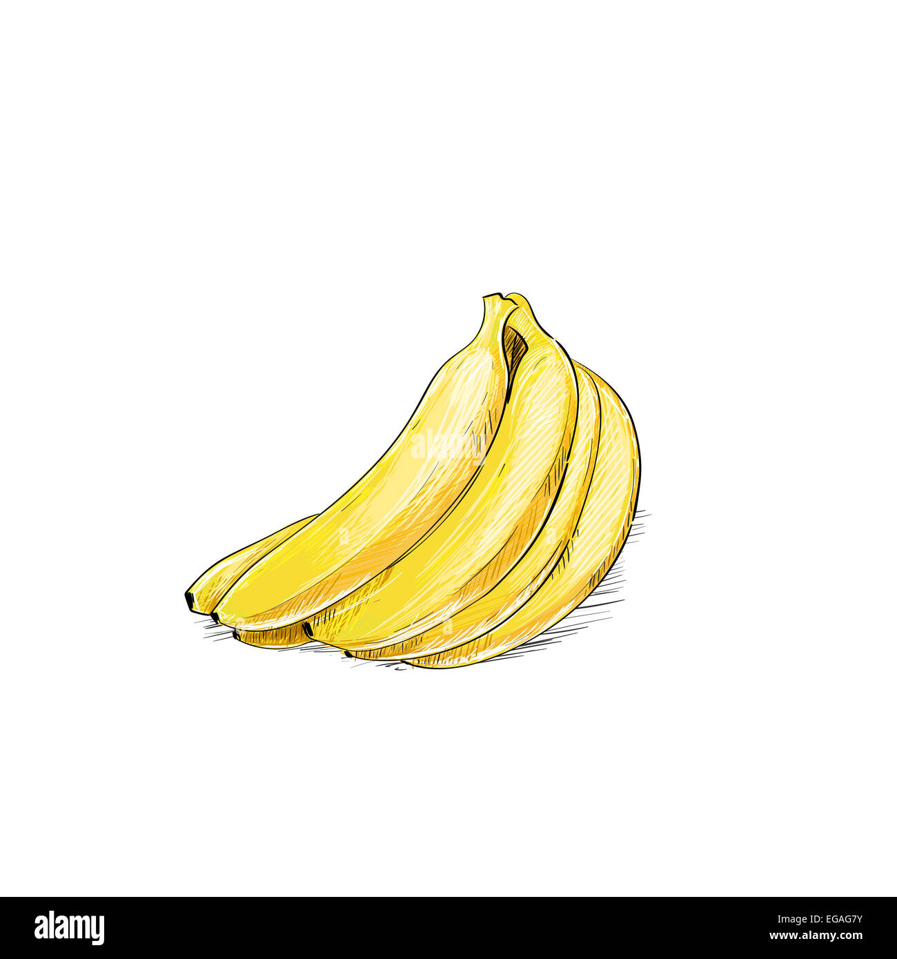 banana bunch color sketch draw isolated over white background Stock