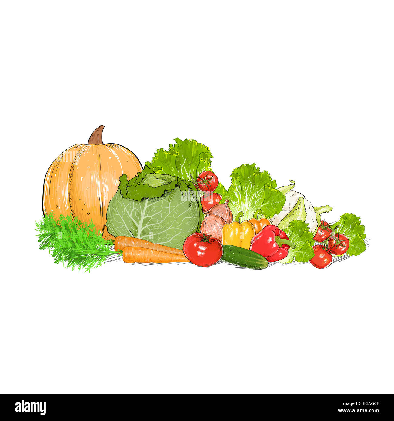 Vegetables drawing set group isolated over white stock photo alamy