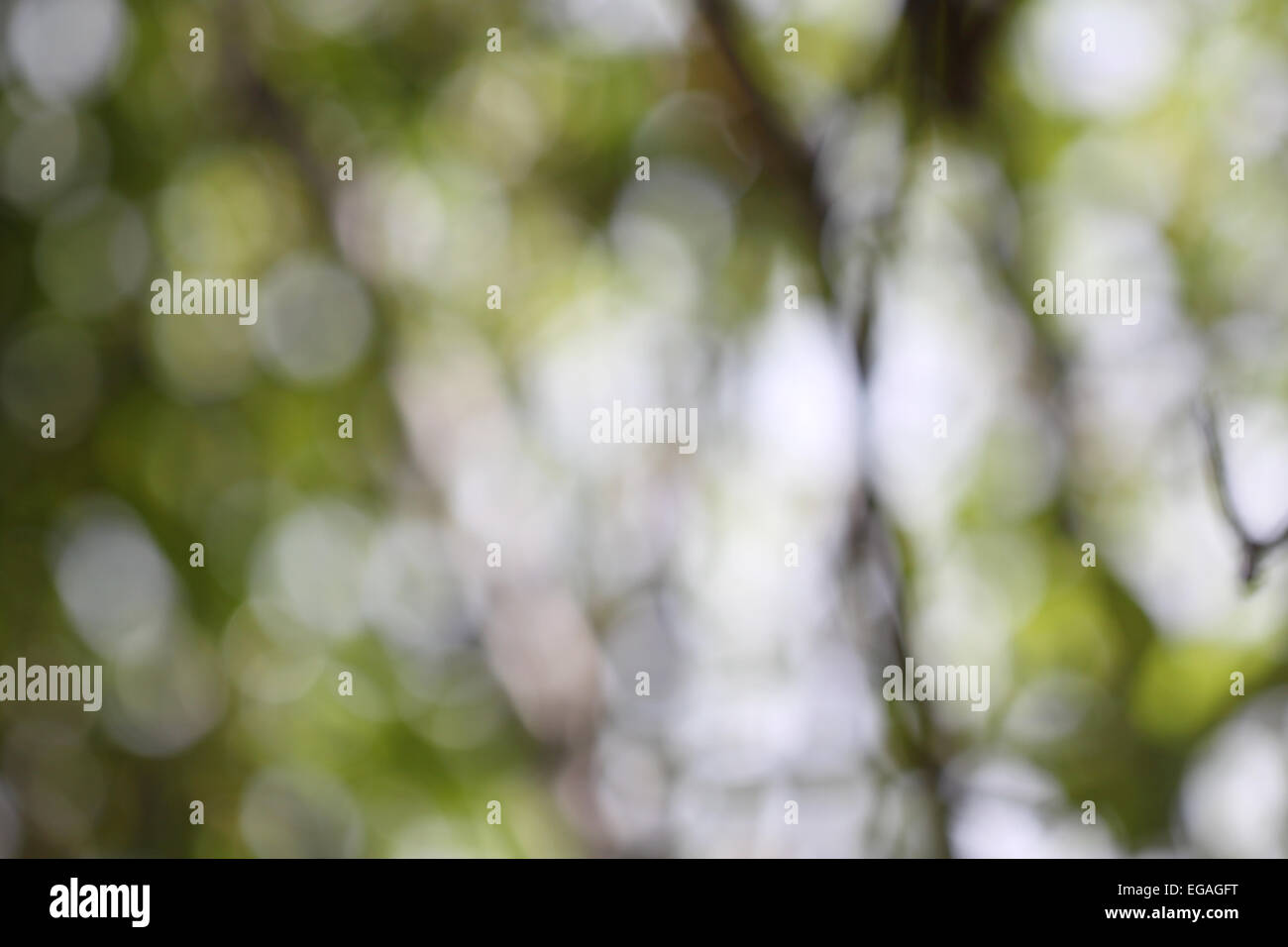 Bokeh green background hi-res stock photography and images - Alamy