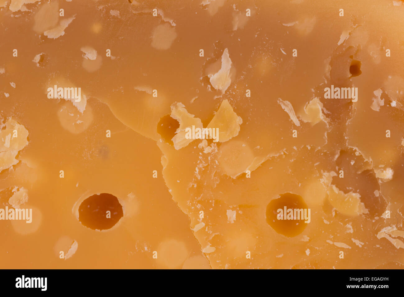 Background of an old seven years old cheese Stock Photo