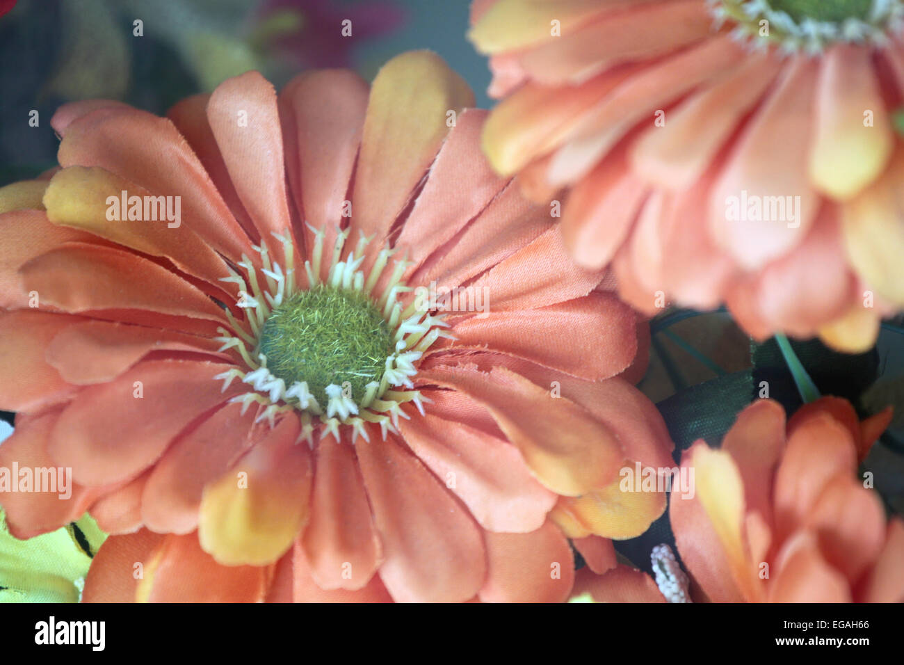 Orange flowers with fabric for design and decor. Stock Photo