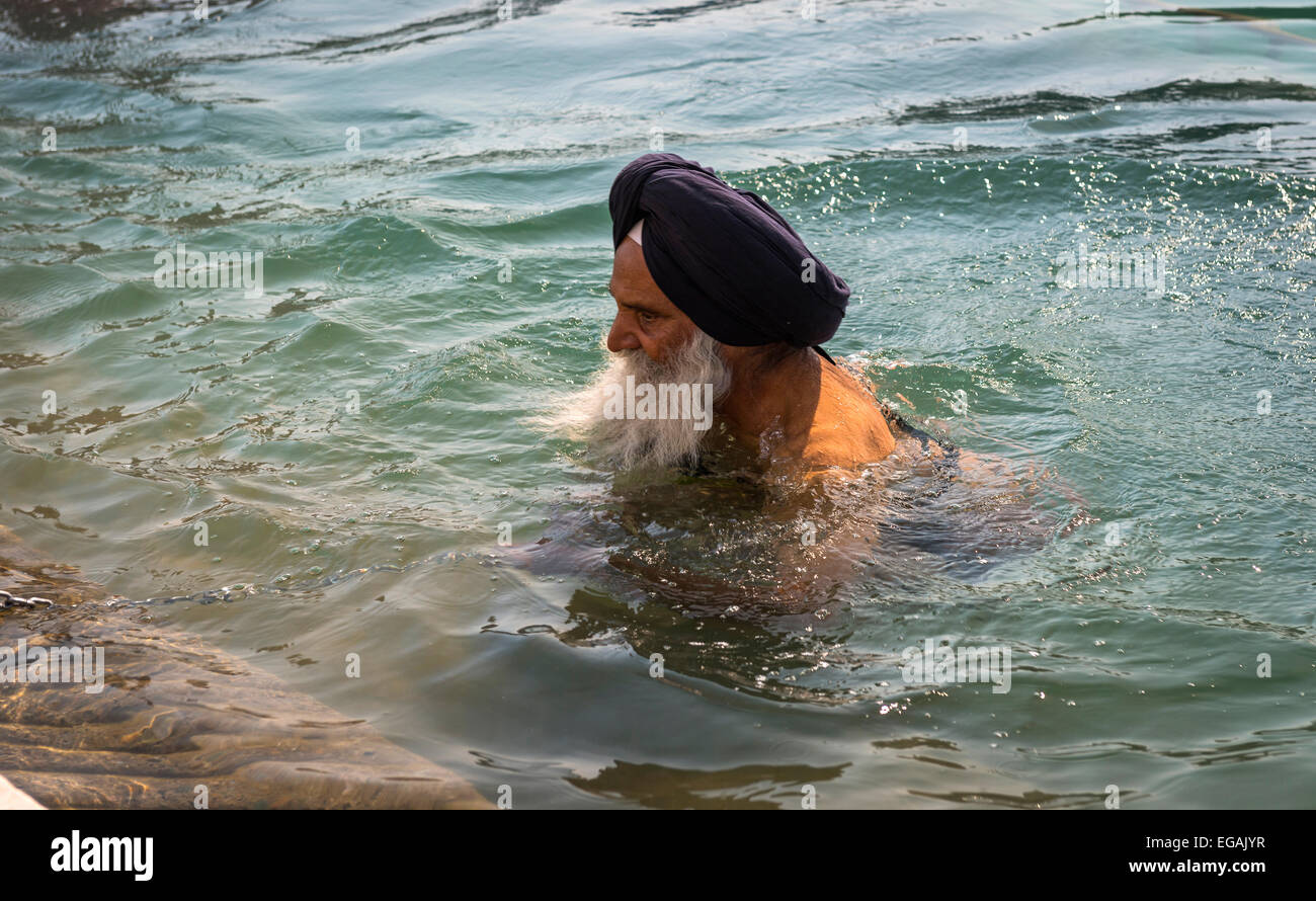 An old Sikh man takes to the holy water of The Golden Temple, Amritsar, Punjab, India Stock Photo