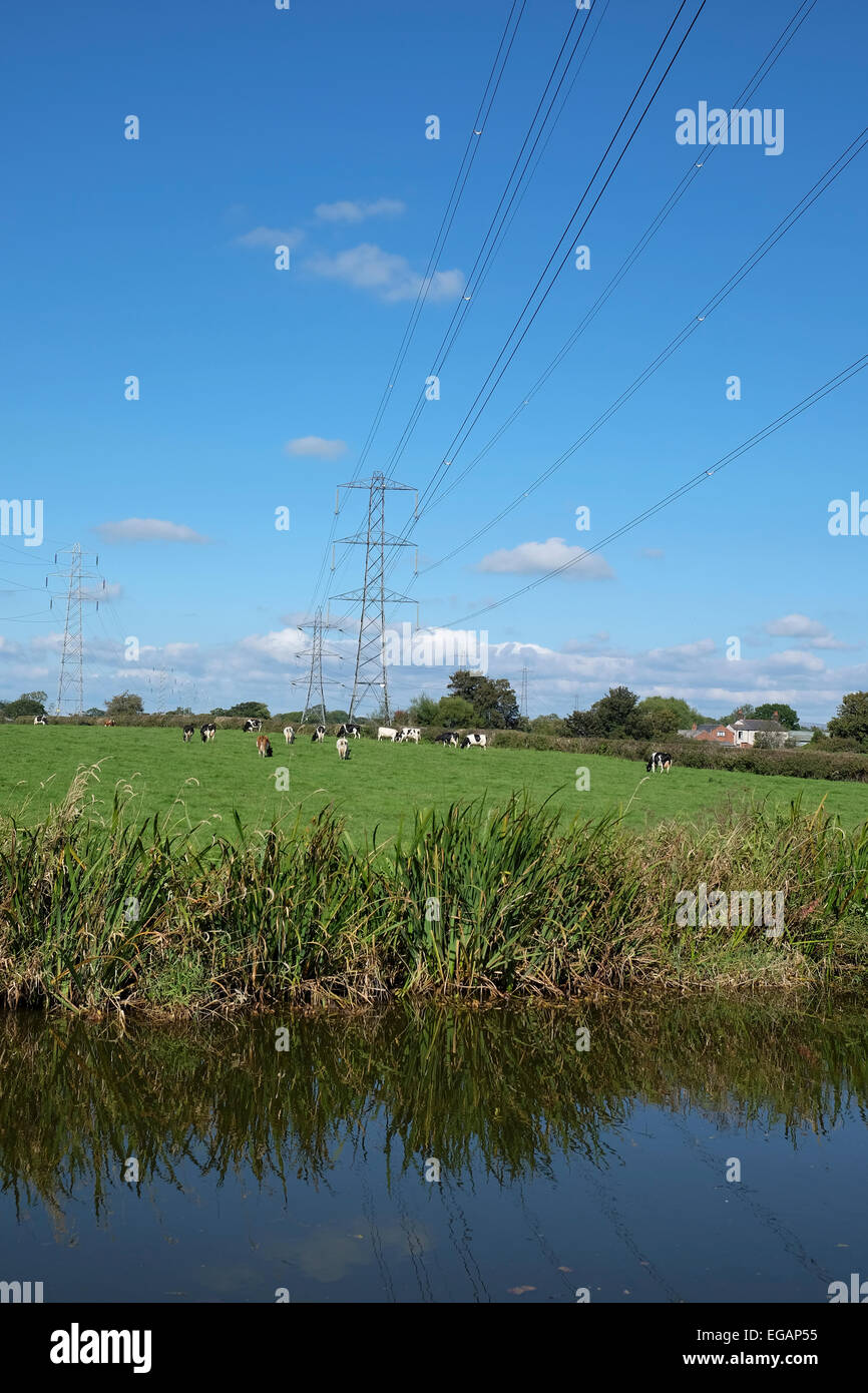 Power lines over Lancaster Canal Stock Photo Alamy