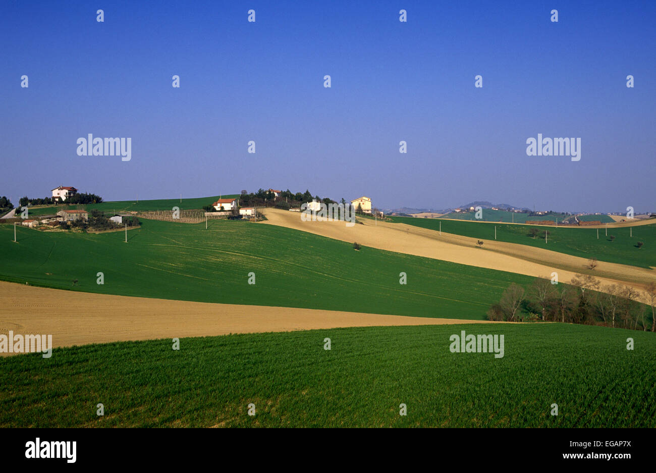 Italy, Le Marche, Osimo countryside Stock Photo