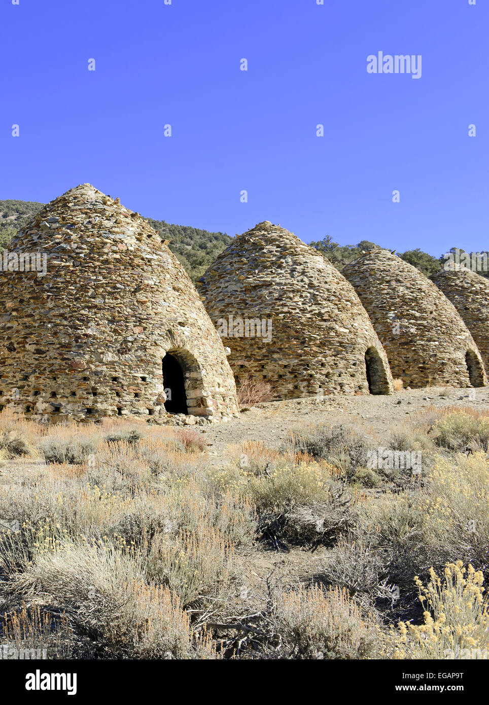 Beehive shaped Charcoal Kilns in Wildrose were used to provide fuel for