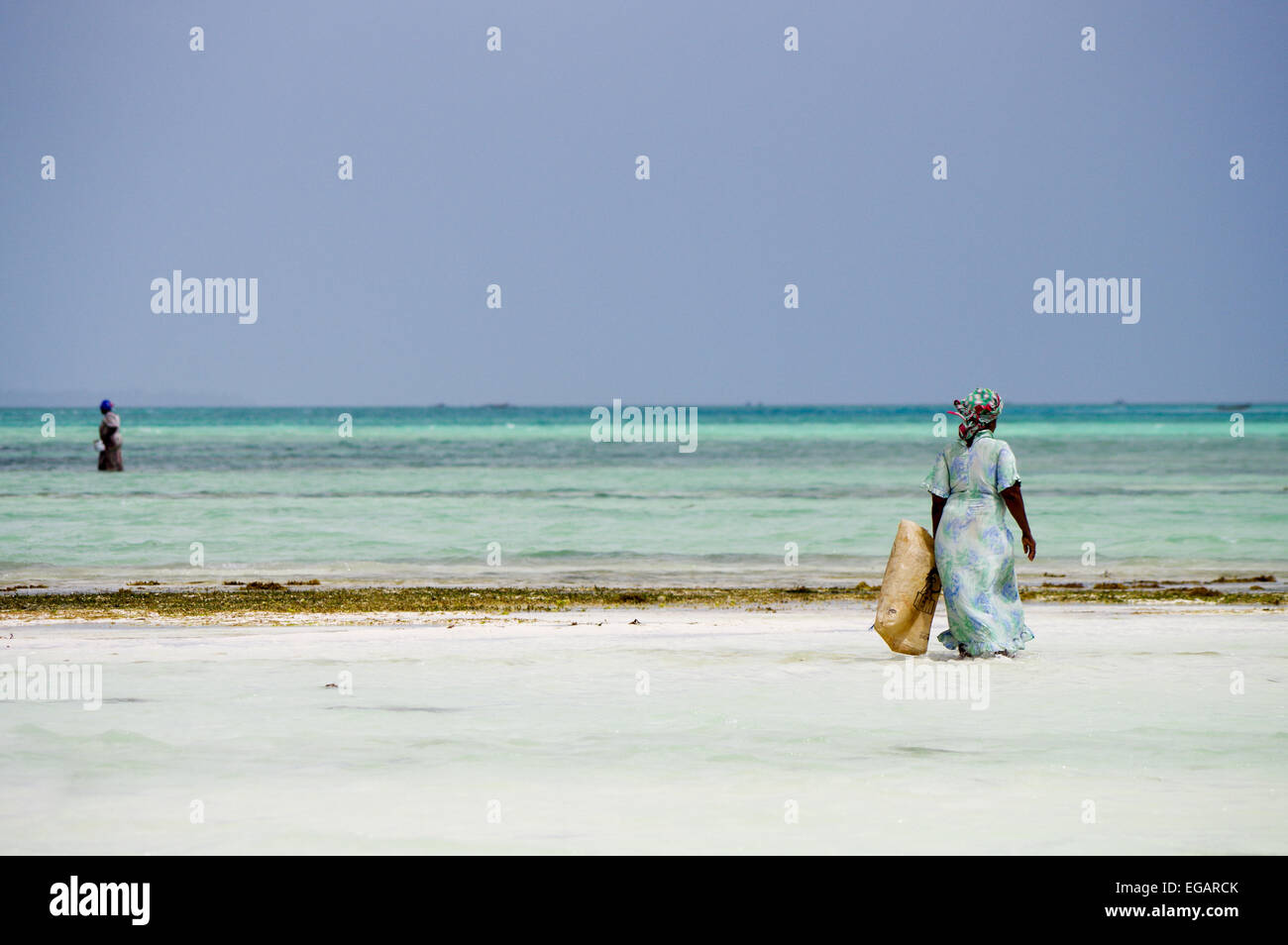 Seaweed farmers in Zanzibar, Tanzania Stock Photo