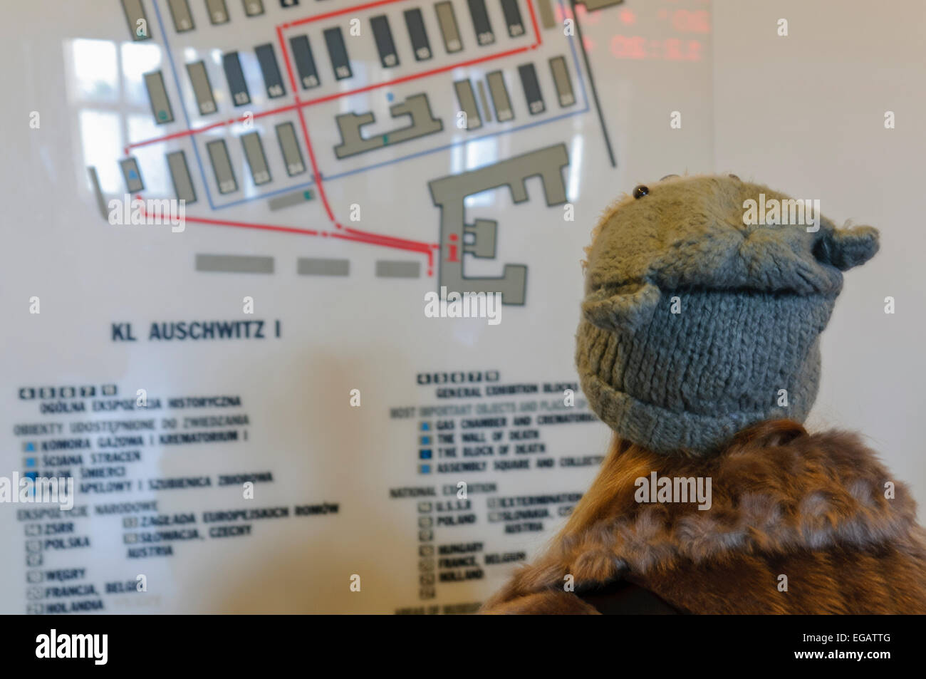 A Woman Examines A Map At Auschwitz Concentration Camp Stock Photo