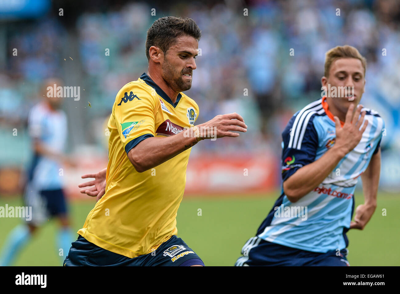 Sydney, Australia. 21st Feb, 2015. Hyundai A-League. Sydney FC versus Central  Coast. Mariners midfielder Fabio Ferreira. Sydney won the game 4-2. Credit:  Action Plus Sports/Alamy Live News Stock Photo - Alamy