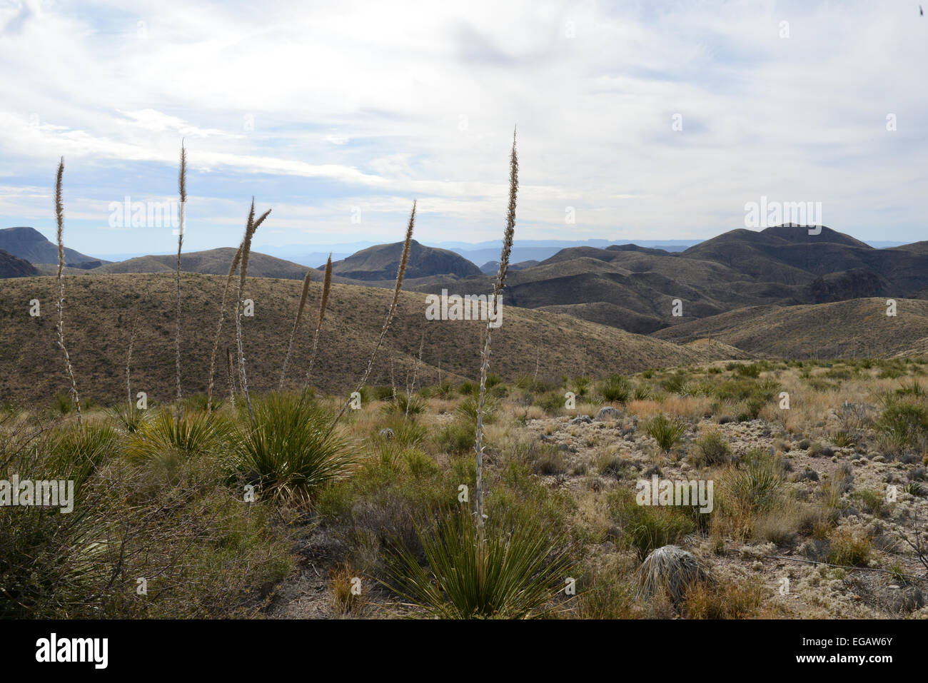 Scenic drive along the Rio Grande River in Big Bend Ranch State Park