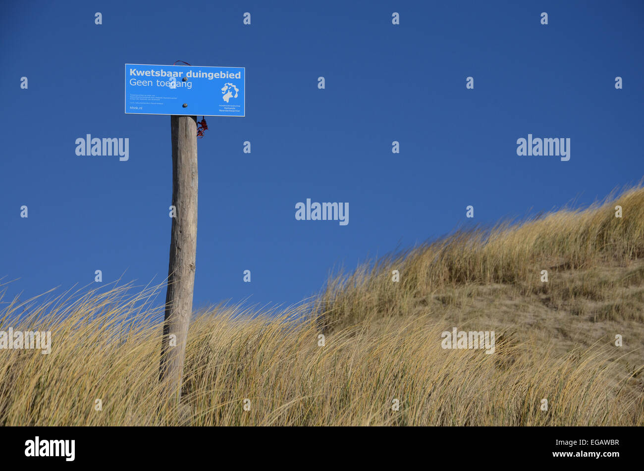 vulnerable dune landscape, North Holland, Netherlands Stock Photo