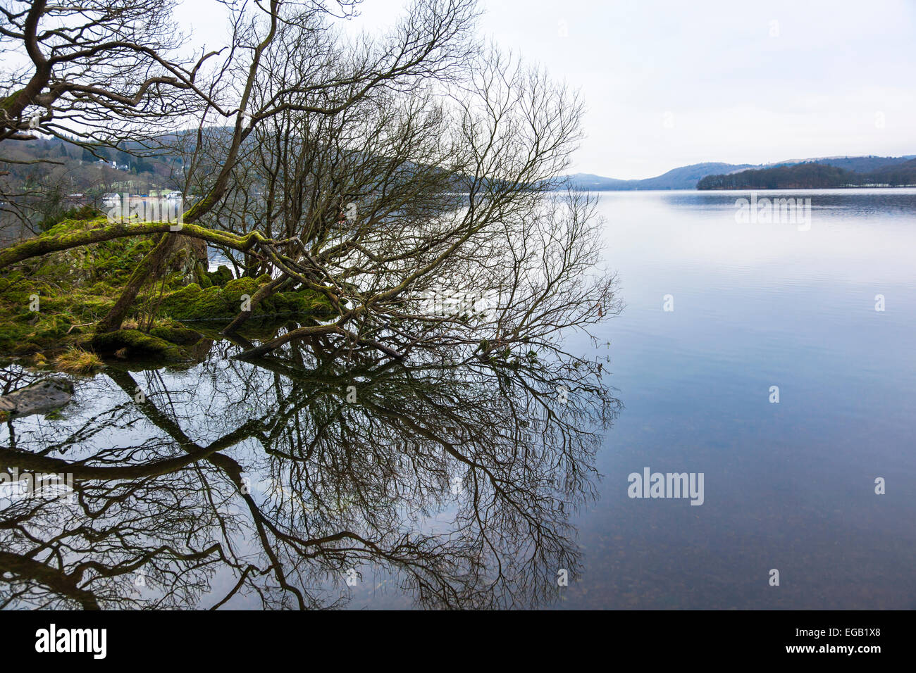 Beautiful nature at lake Windemere, Lake District, Cumbria, England Stock Photo