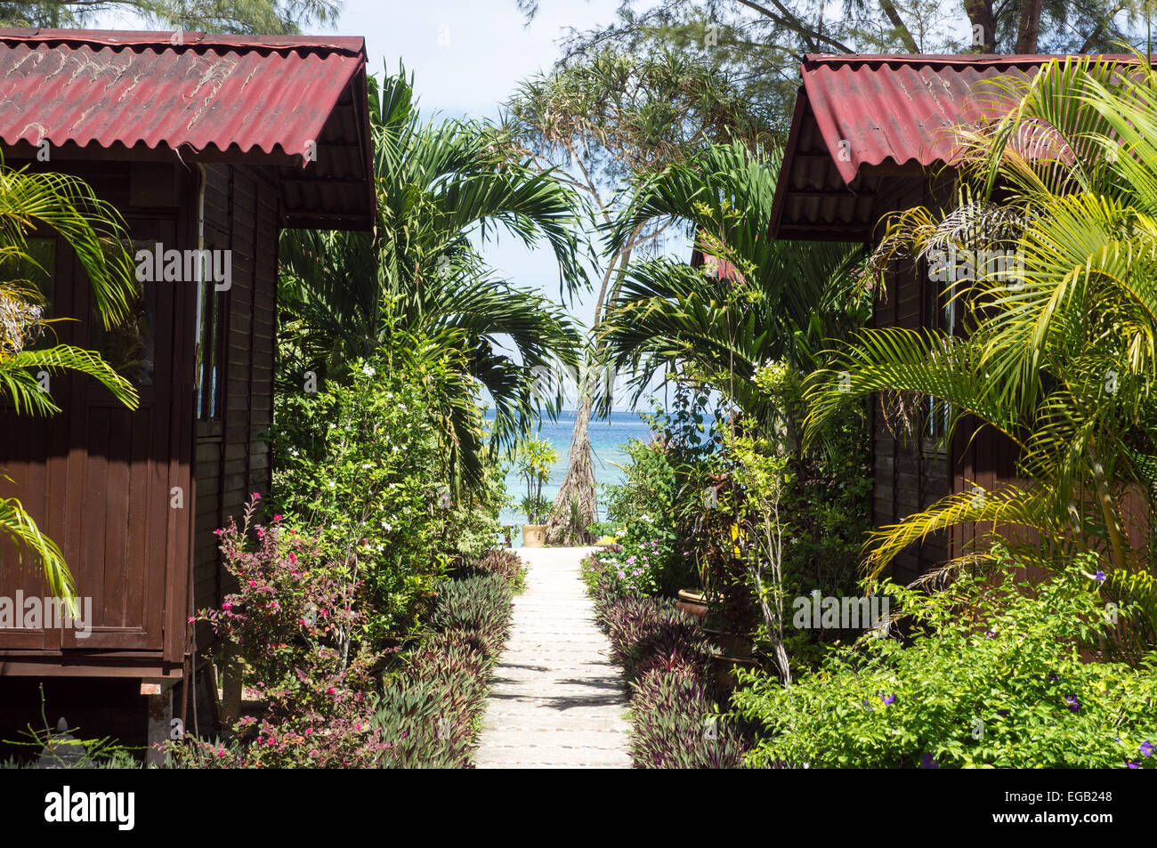 Path Through He Accommodation At Flora Bay Divers Pulau Perhentian Island Malaysia Stock Photo Alamy