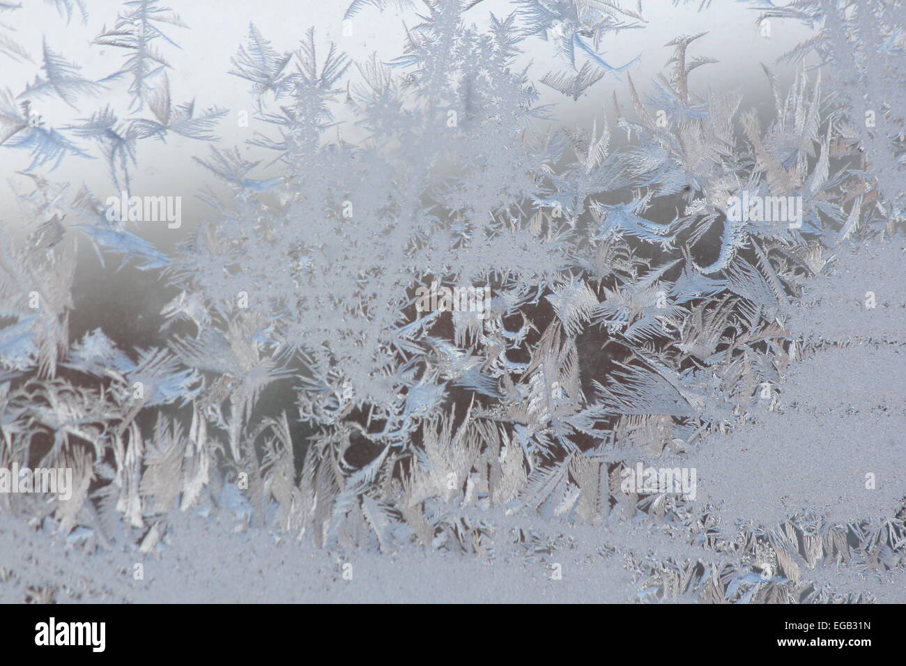 Frost formed a design on the outside of a house window on a very cold ...
