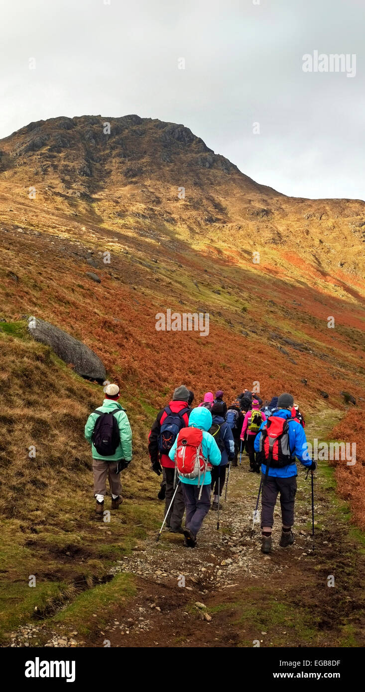 Walkers hikers on the Tain Trail in Cooley Mountains Carlingford Co. Louth Ireland  Tain Trail legendary Slieve Foy Stock Photo