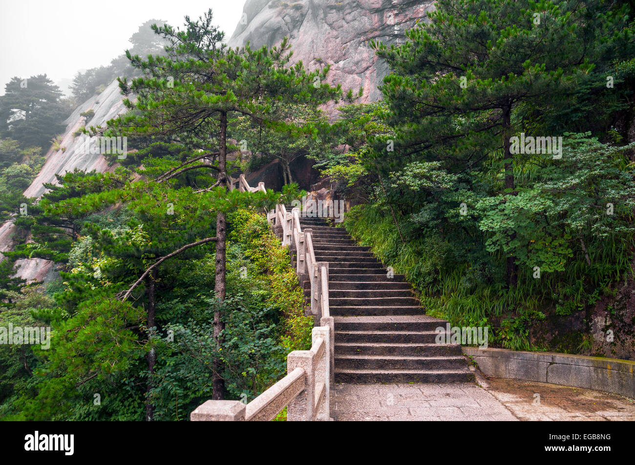 Mountain stairs path into forest, Huangshan, China Stock Photo
