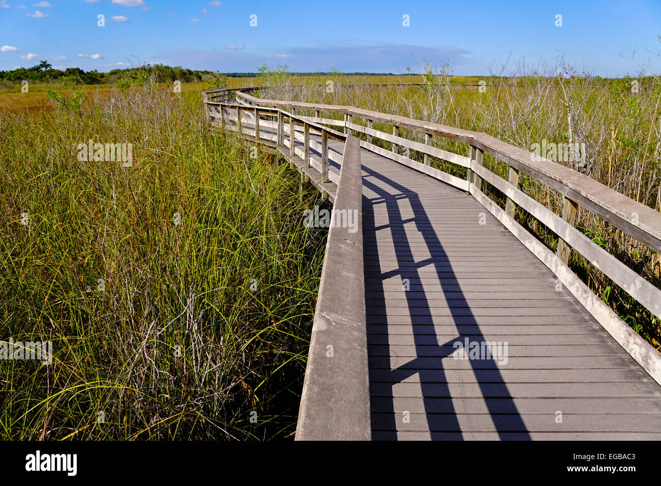 Everglades National Park boardwalk on Anhinga Trail at Royal Palm. Stock Photo