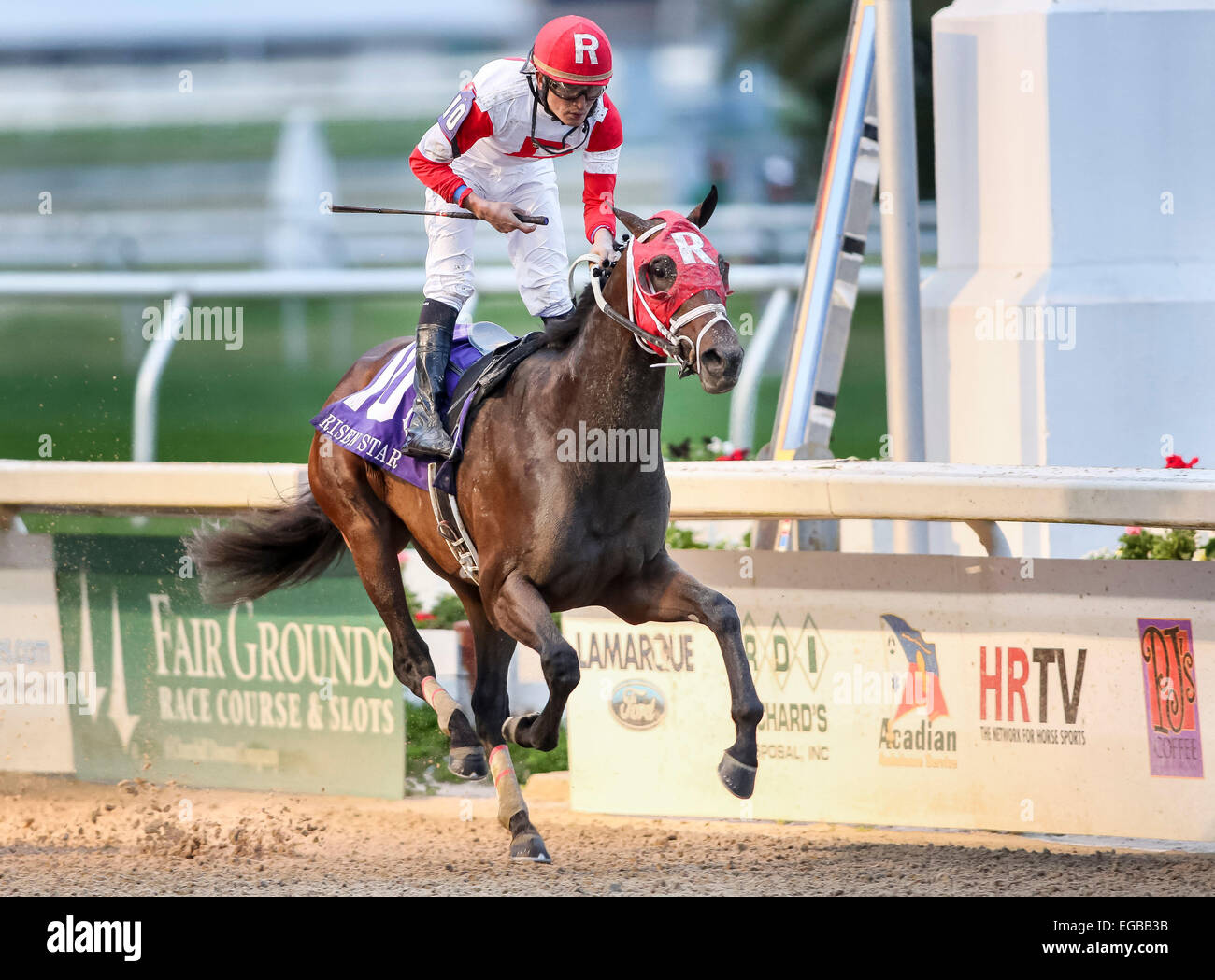 New Orleans, Louisiana, USA. 21st Feb, 2015. February 21, 2015:International Star with Miguel Mena up wins the Risen Star Stakes at the New Orleans Fairgrounds Risen Star Stakes Day. Steve Dalmado/ESW/CSM/Alamy Live News Stock Photo