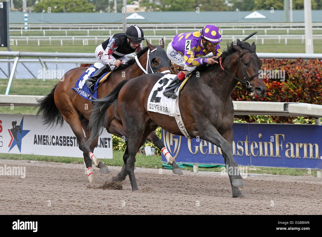 Fountain of youth stakes hires stock photography and images Alamy