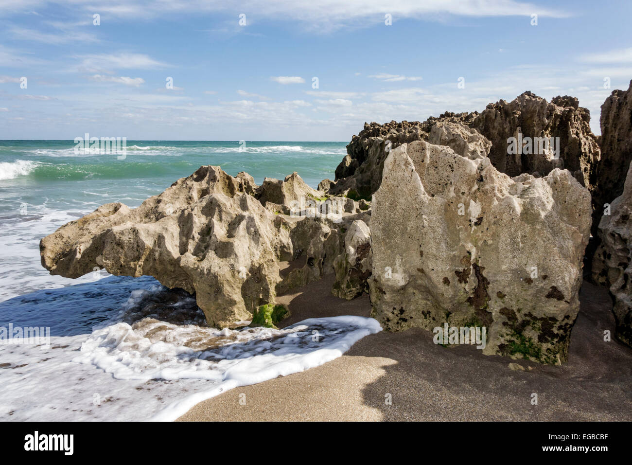 Stuart Florida,Hutchinson Barrier Island,Ross Witham Beach,Atlantic Ocean,Anastasia geologic formation,interbedded sands,coquina limestones,fragmented Stock Photo