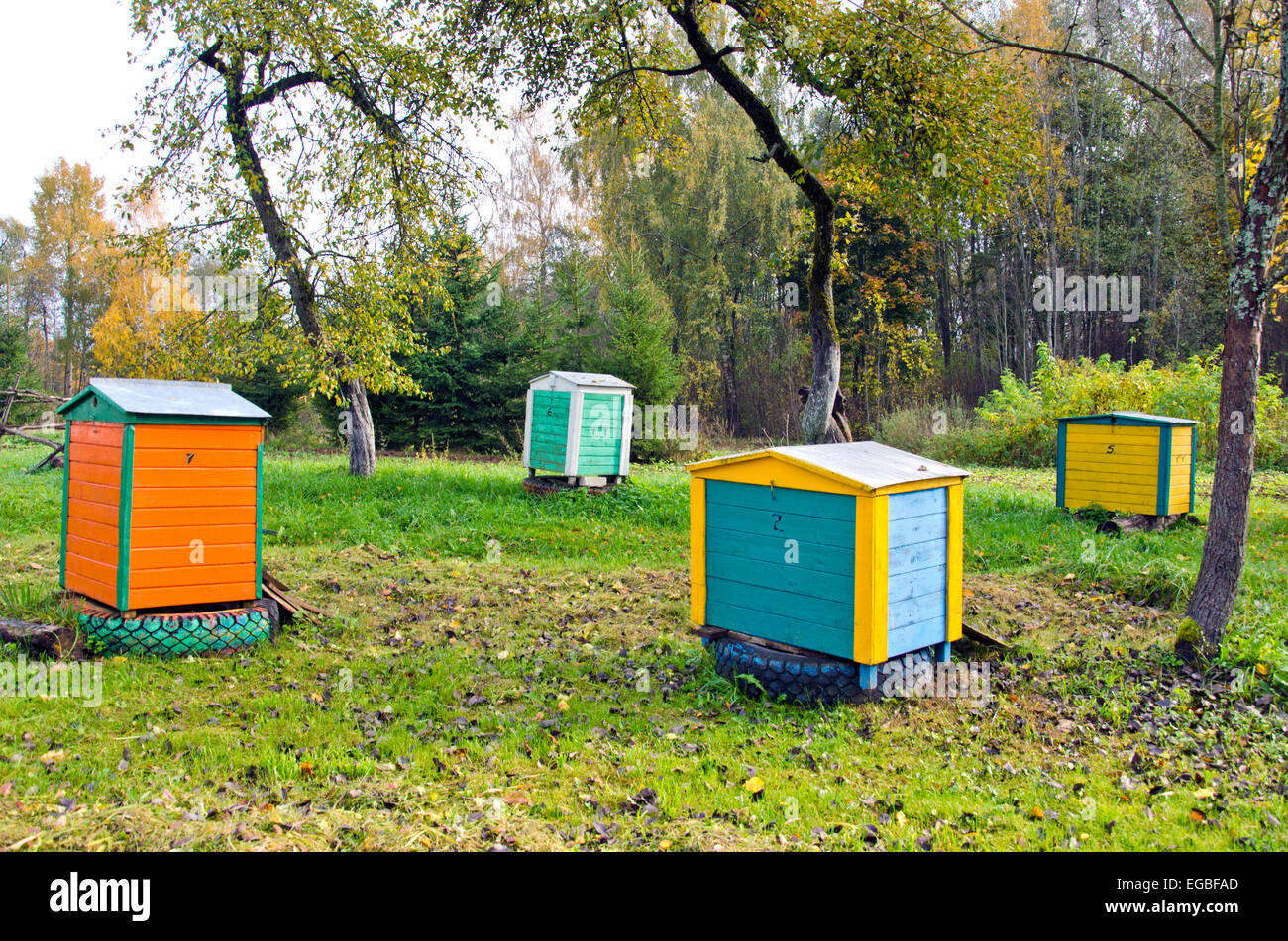 Honey bee hives in autumnal hi-res stock photography and images - Alamy