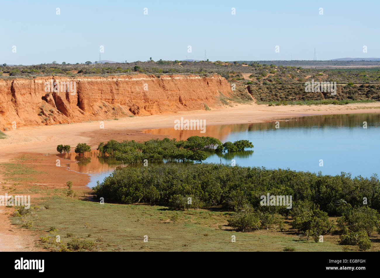 Coastal Mangrove, Red Banks, Spencer Gulf, Port Augusta, South