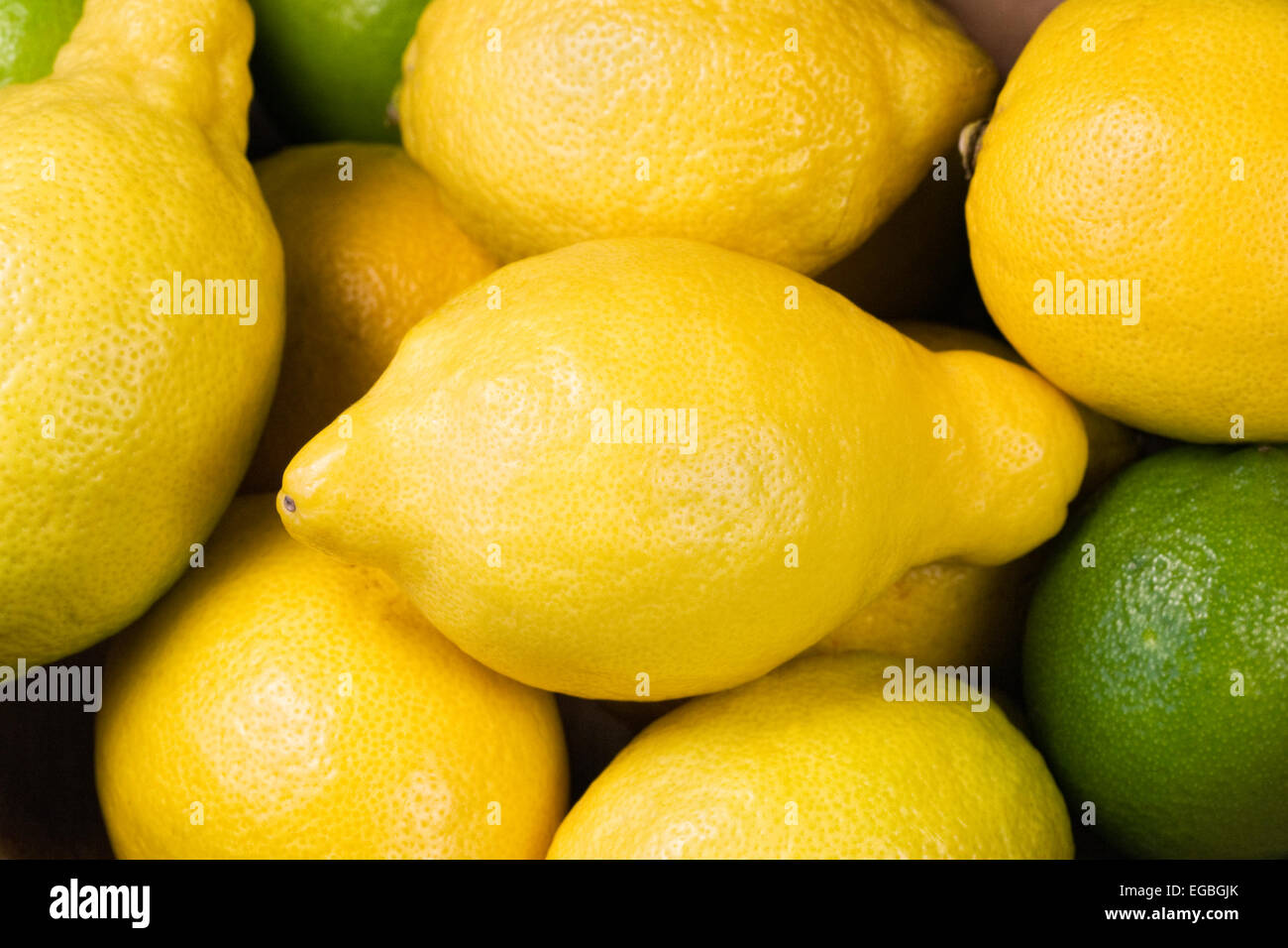 Lemons and limes Stock Photo Alamy