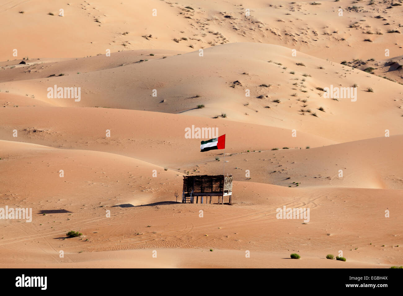 Moreeb dune in Liwa Oasis area, Emirate of Abu Dhabi, United Arab
