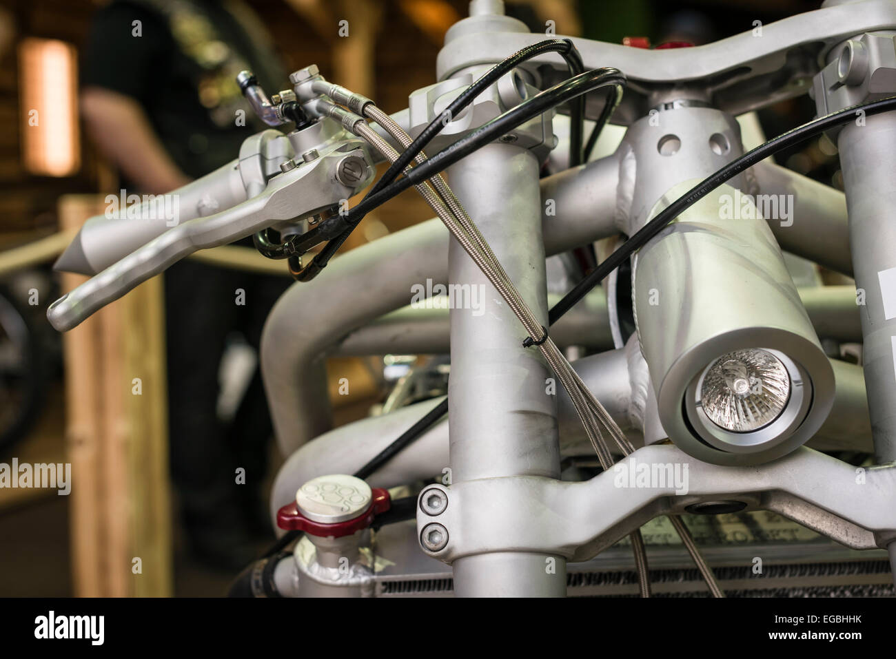 Zurich, Switzerland. 20th Feb, 2015. Spectactular and unusual custom