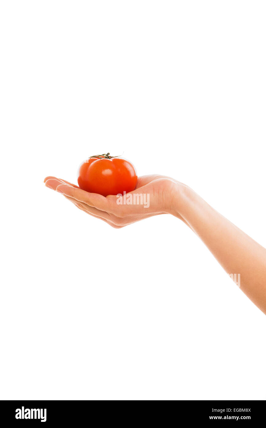 Female hand holding a tomato isolated on white Stock Photo - Alamy