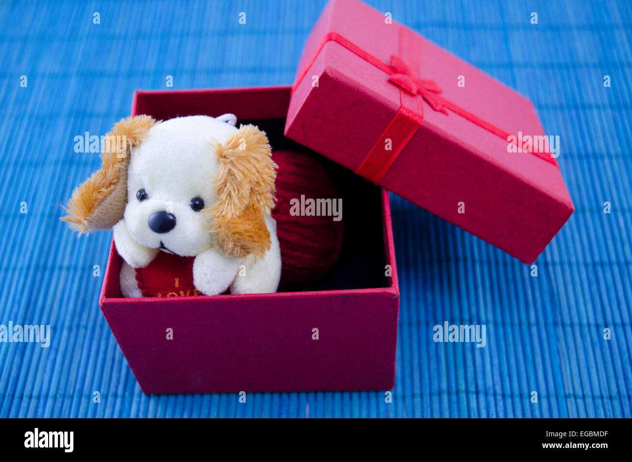 A toy dog in a red present box with a ribbon, on blue background Stock Photo