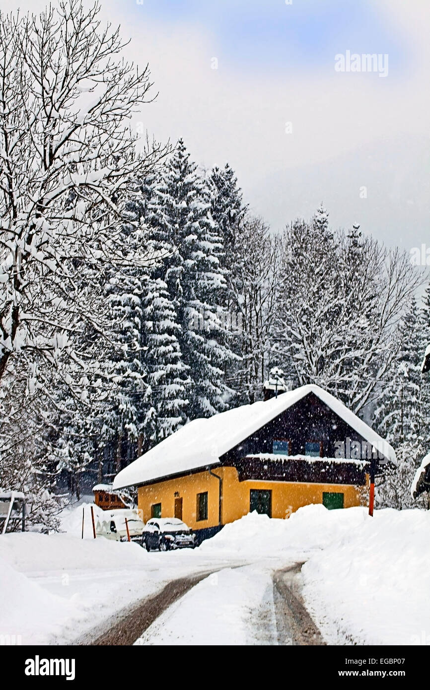 Winter in Austria, heavy snowfall covers trees,branches,car and a
